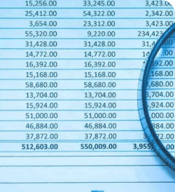Forensic Accounting & Auditing Investigations (FAI)