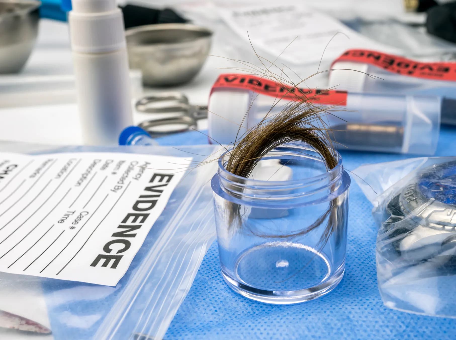 Forensic Truth Exploring the Relationship between Forensic Science and Law | Truth Labs